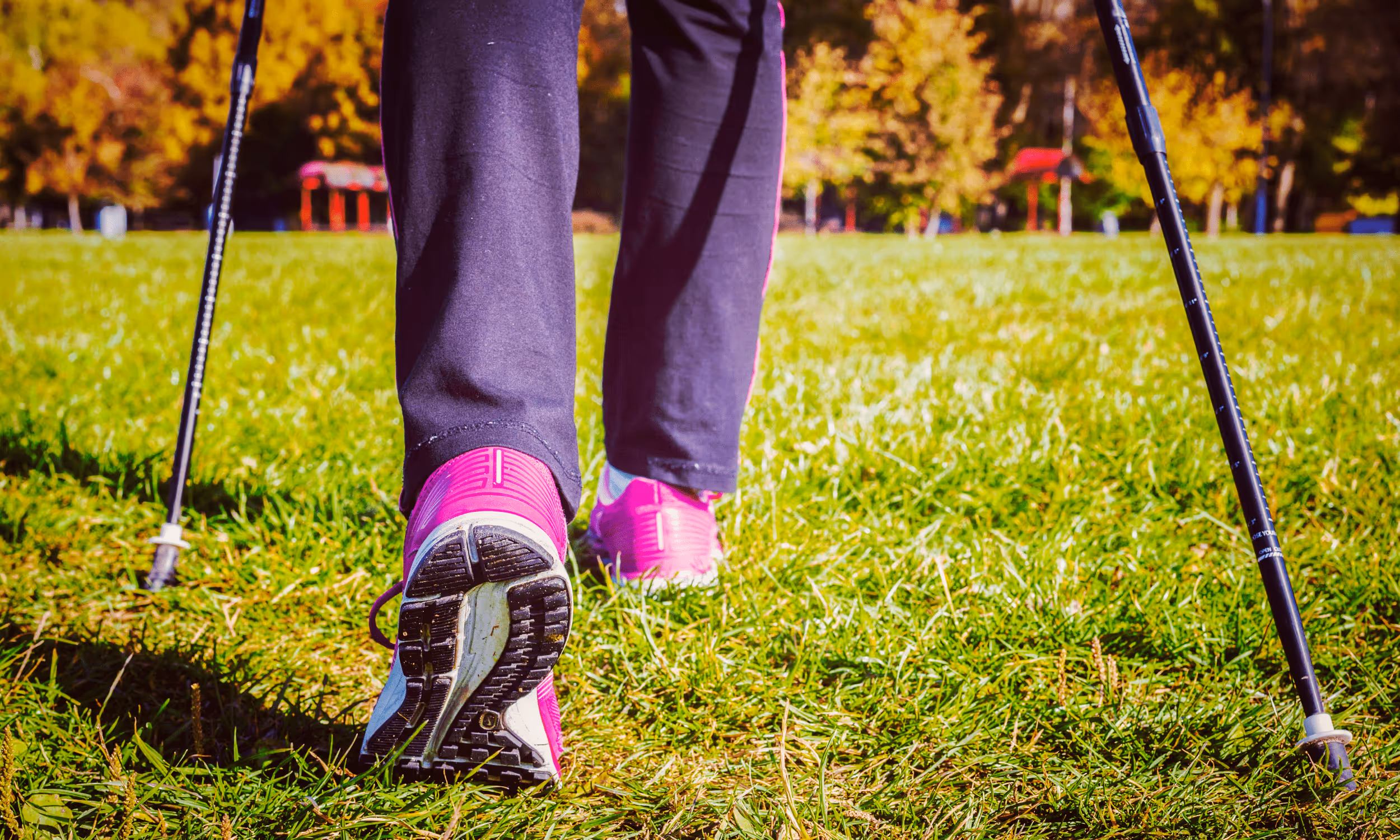 Nordic-Walking-Stöcke und Sportschuhe auf einer Wiese.
