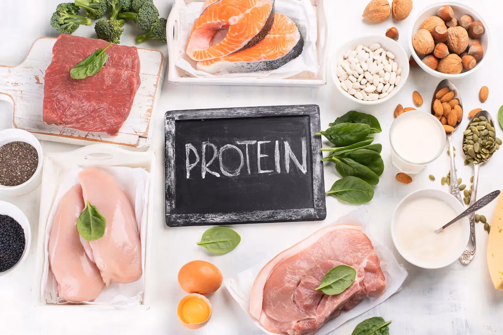 Proteine zum Abnehmen: Hilft viel Protein und Low Carb?