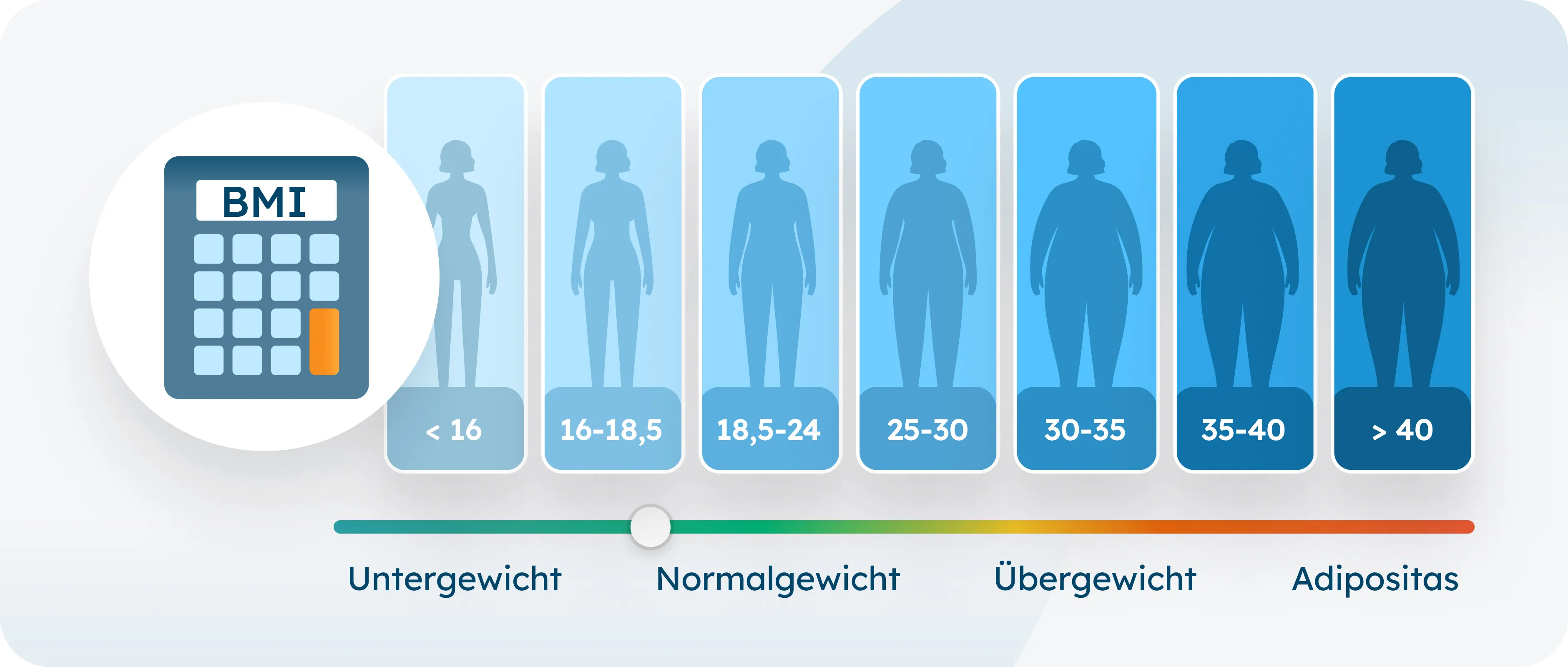 BMI Rechner zeigt verschiedene Stufen von Adipositas